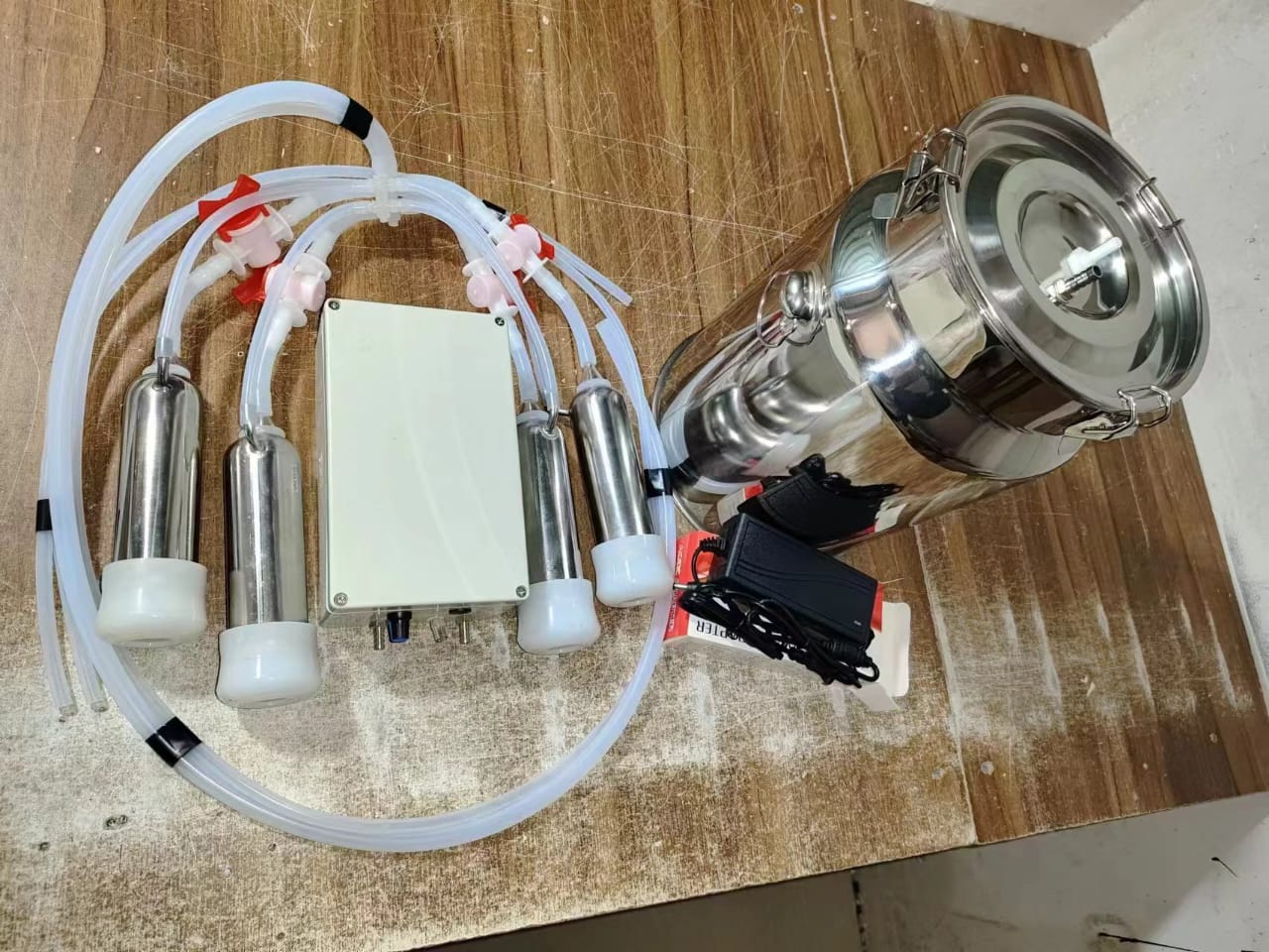 whatsapp image 2026 03 27 at 9.57.31 am